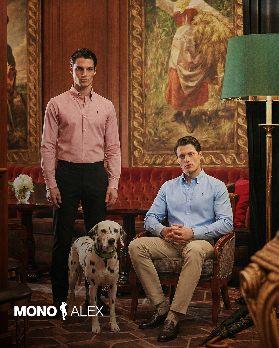 Mono Alex visual 5